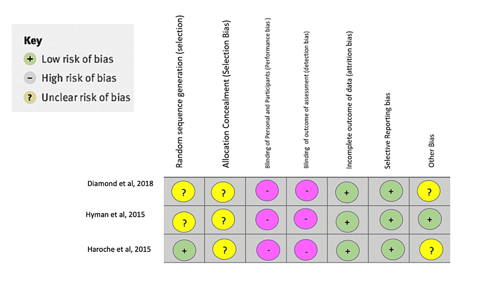 Bias-analysis-of-the-systematic-review.