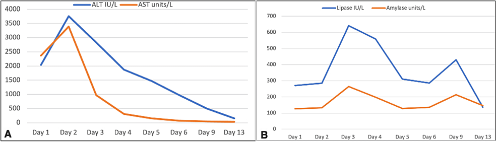 Trends-of-the-liver-(A)-and-pancreatic-enzymes-(B)-over-the-full-course-of-the-patient's-hospitalization-in-days.