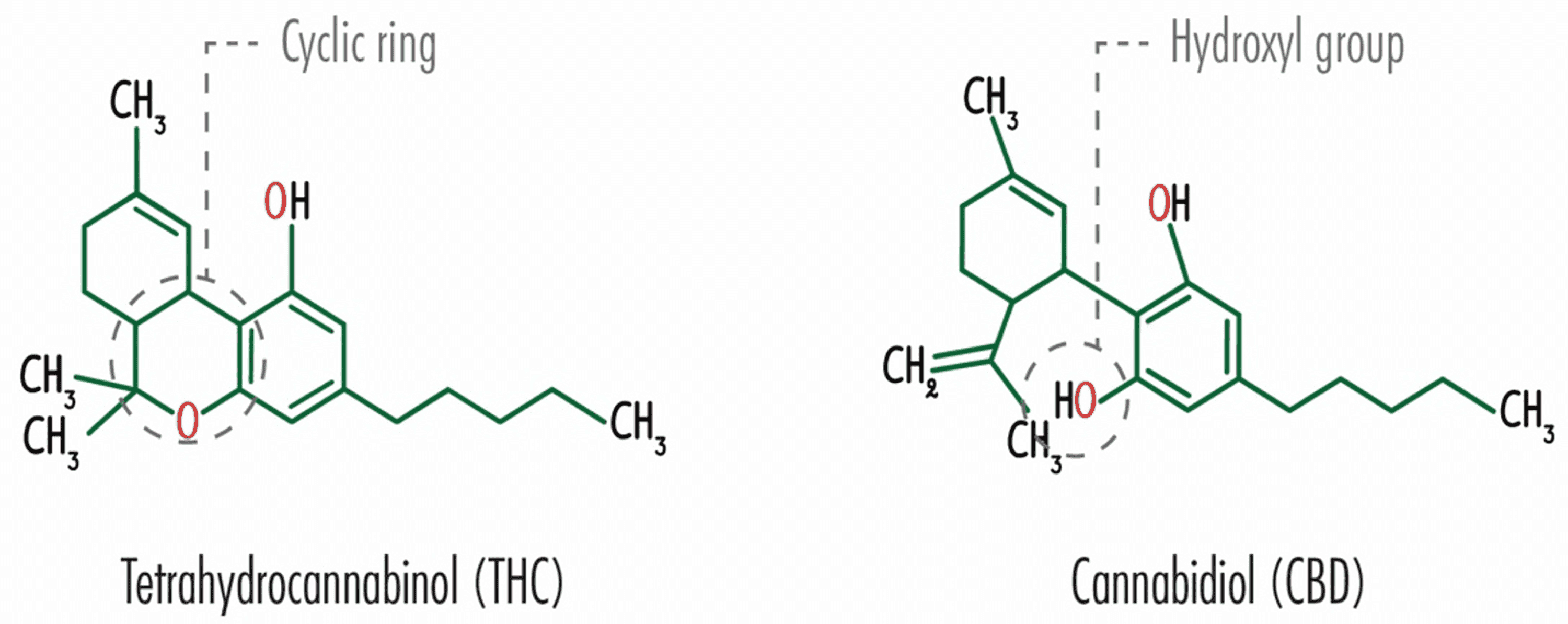 Efficacy, Safety, And Regulation Of Cannabidiol On Chronic Pain: A ...