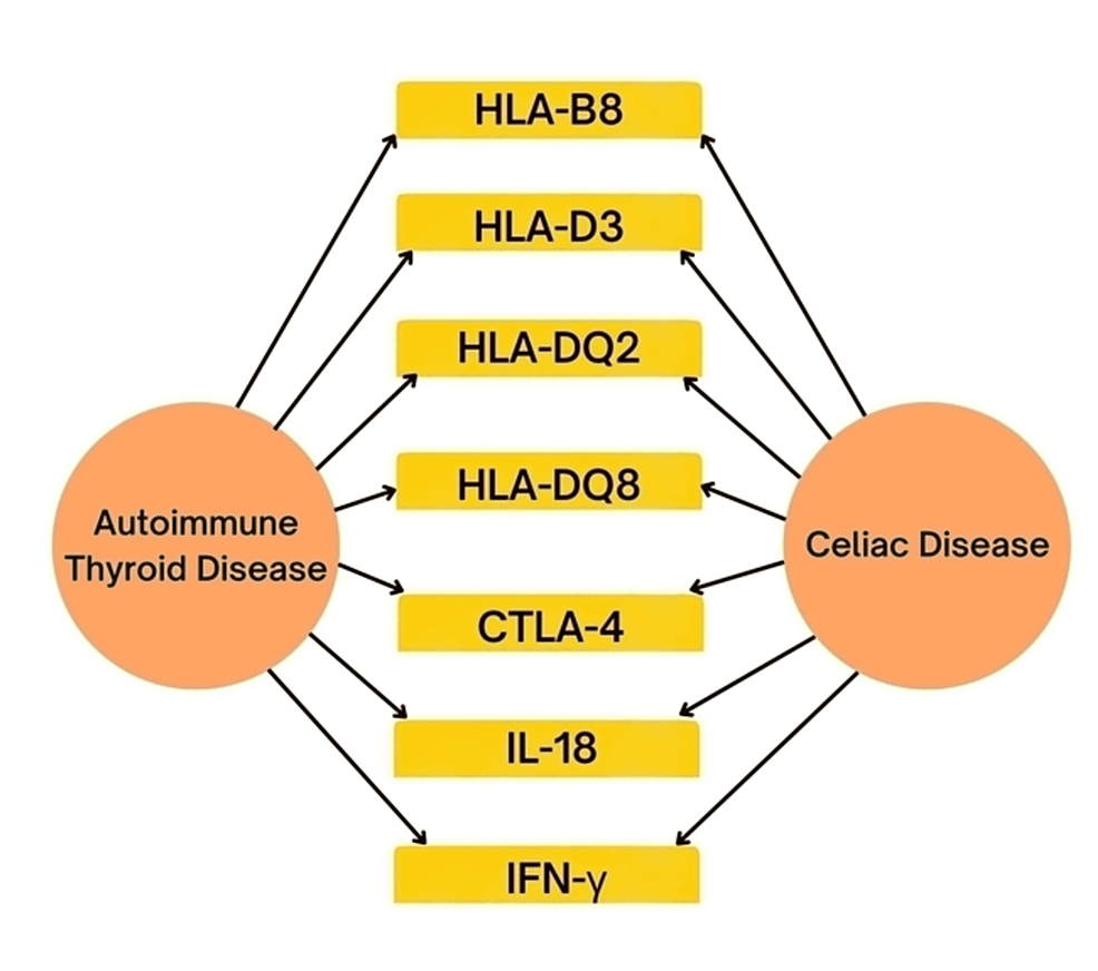 Shared-genes-between-celiac-disease-and-autoimmune-thyroid-disease.