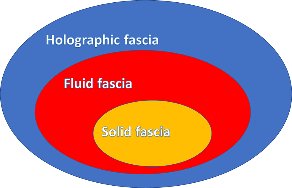 Schematic-diagram-illustrating-the-greater-influence-of-the-oscillations-(holographic-fascia),-compared-to-the-fluid-fascia-and-the-solid-fascia.-It-is-the-nano-movements-of-biophotons-and-biophonons-that-determine-behavior-at-the-macroscopic-level