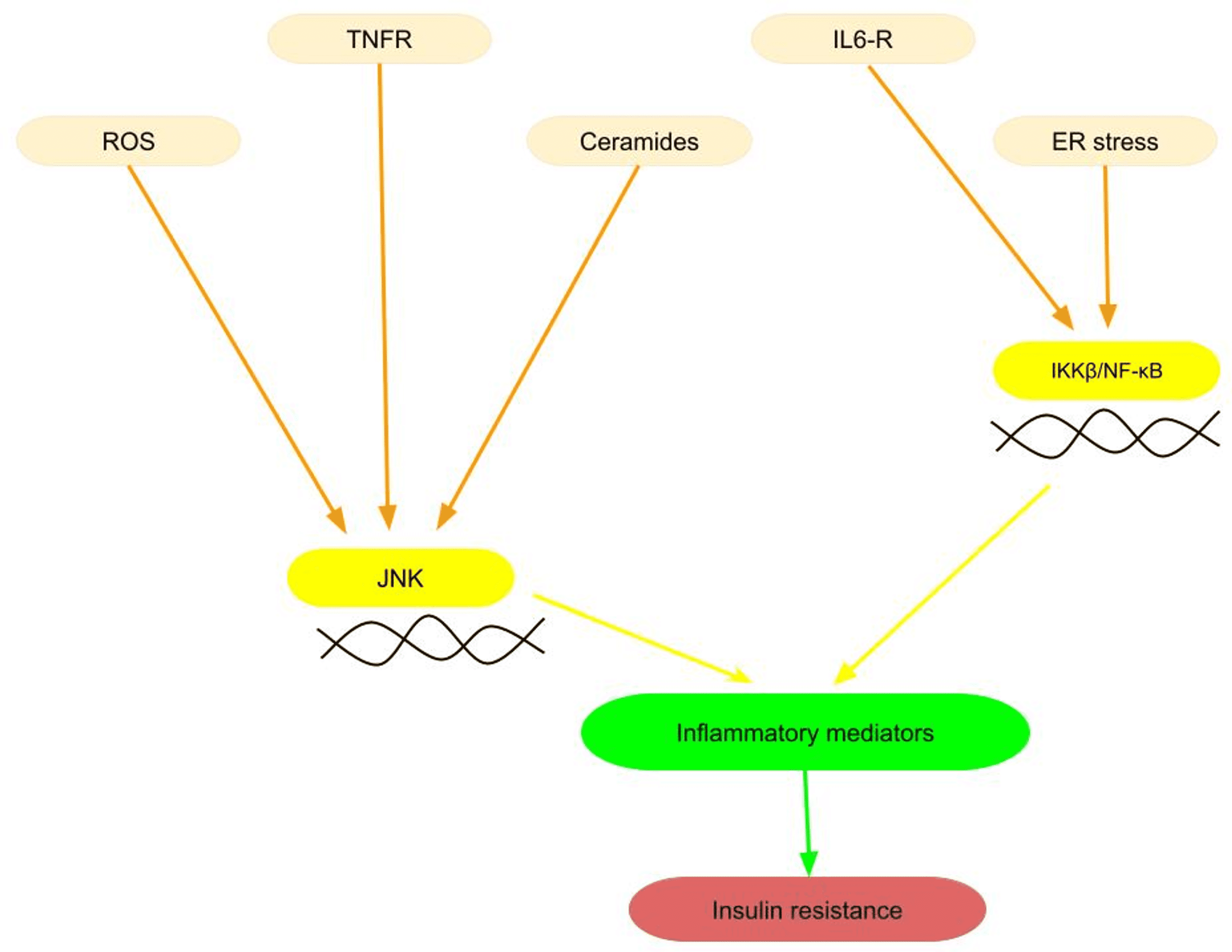 Cureus | Pancreatic Cancer and the Obesity Epidemic: A Narrative Review