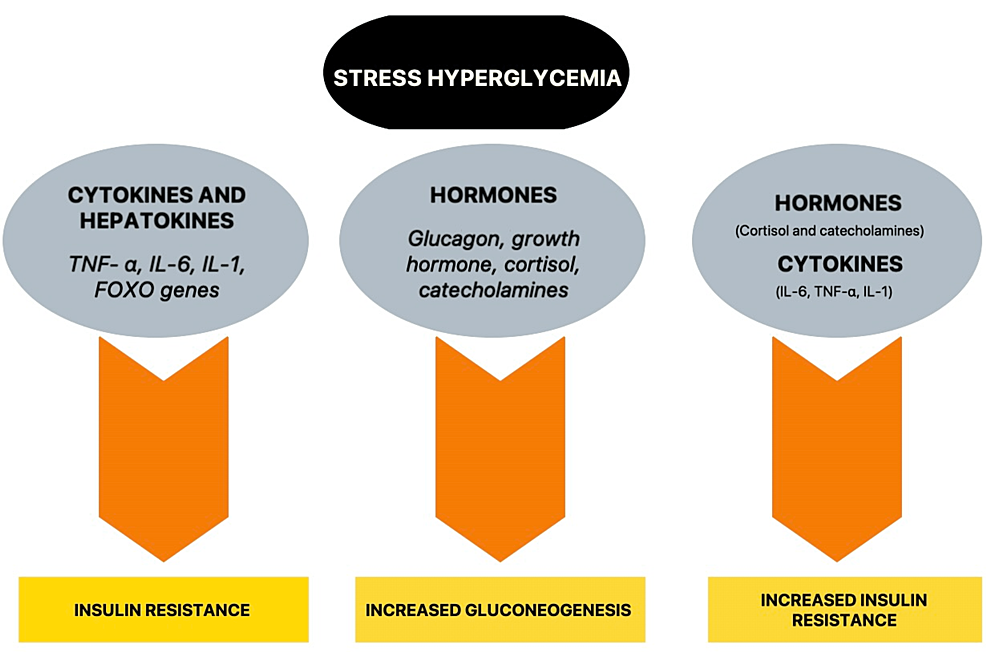 Diabetic coma and stress management