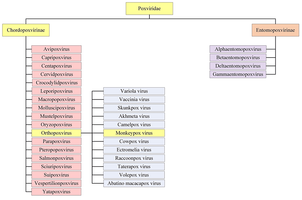 Taxonomy-and-Classification-of-Monkeypox-within-Poxviridae-Lineage