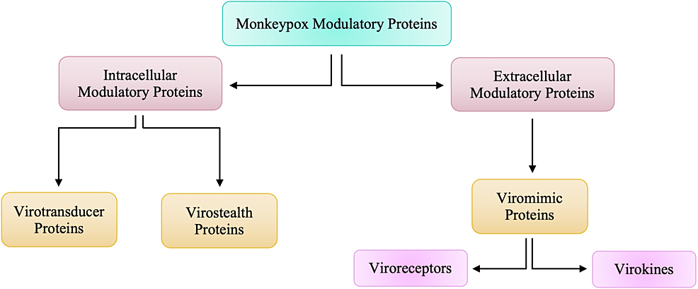 Intracellular-and-Extracellular-Modulatory-Proteins-of-Monkeypox