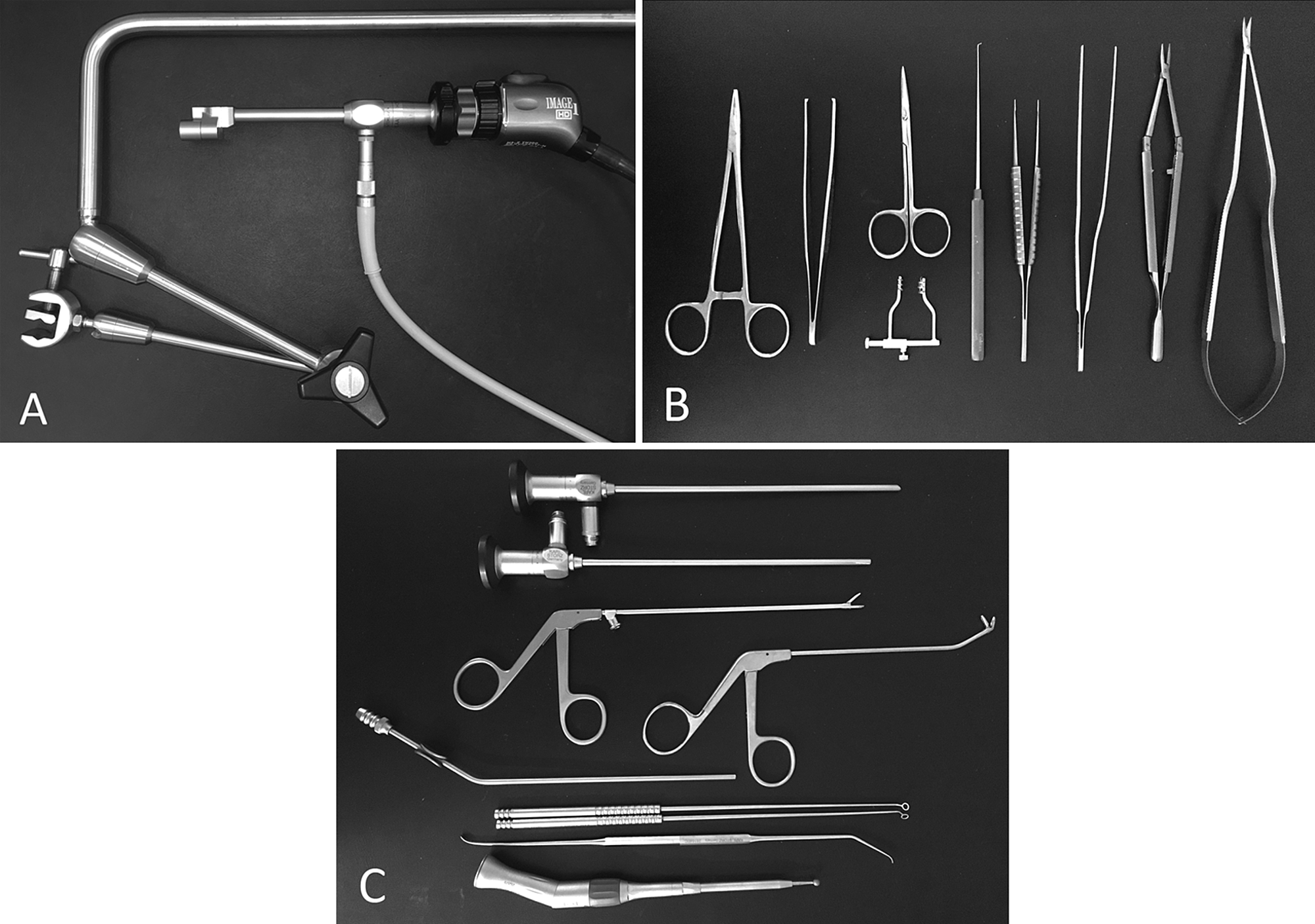 Cureus A for Training of Basic Neurosurgical Skills "From