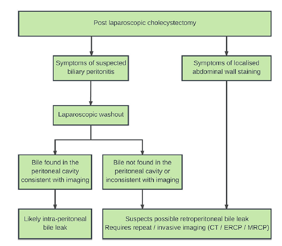 Algorithm-to-manage-retroperitoneal-bile-leak