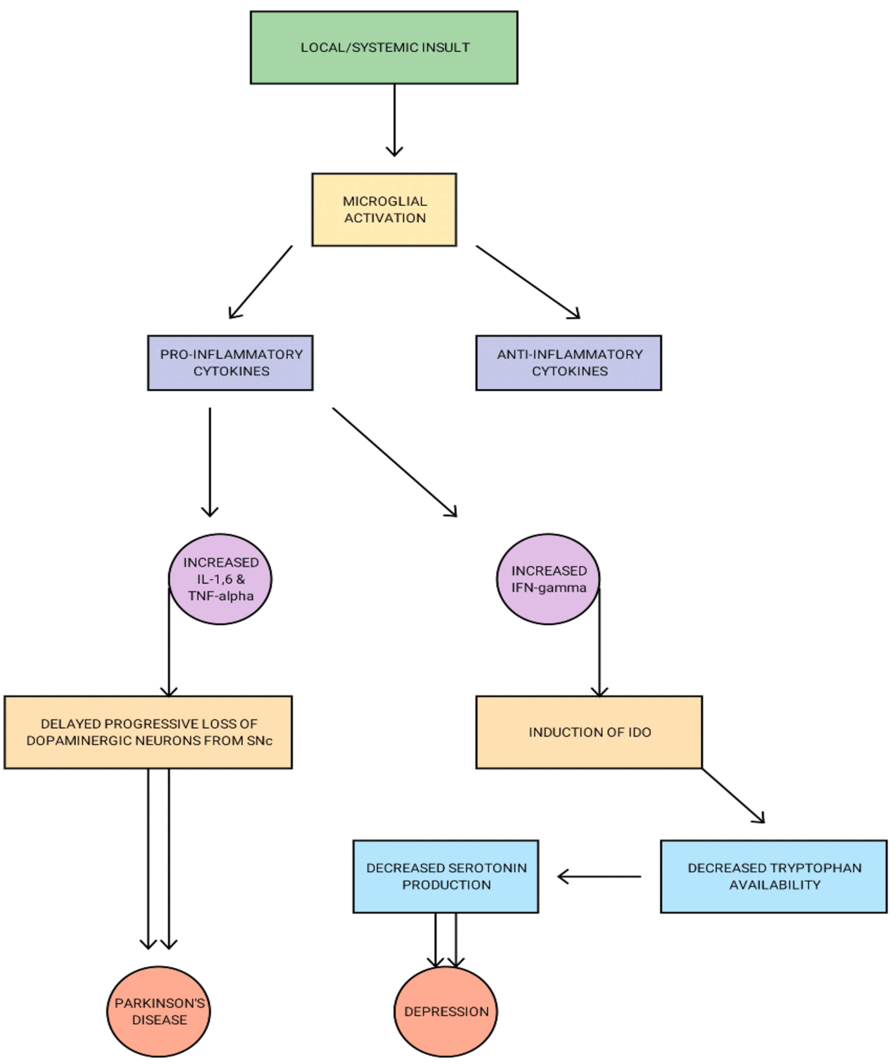 Cureus | Depression In Parkinson's Disease: A Narrative Review