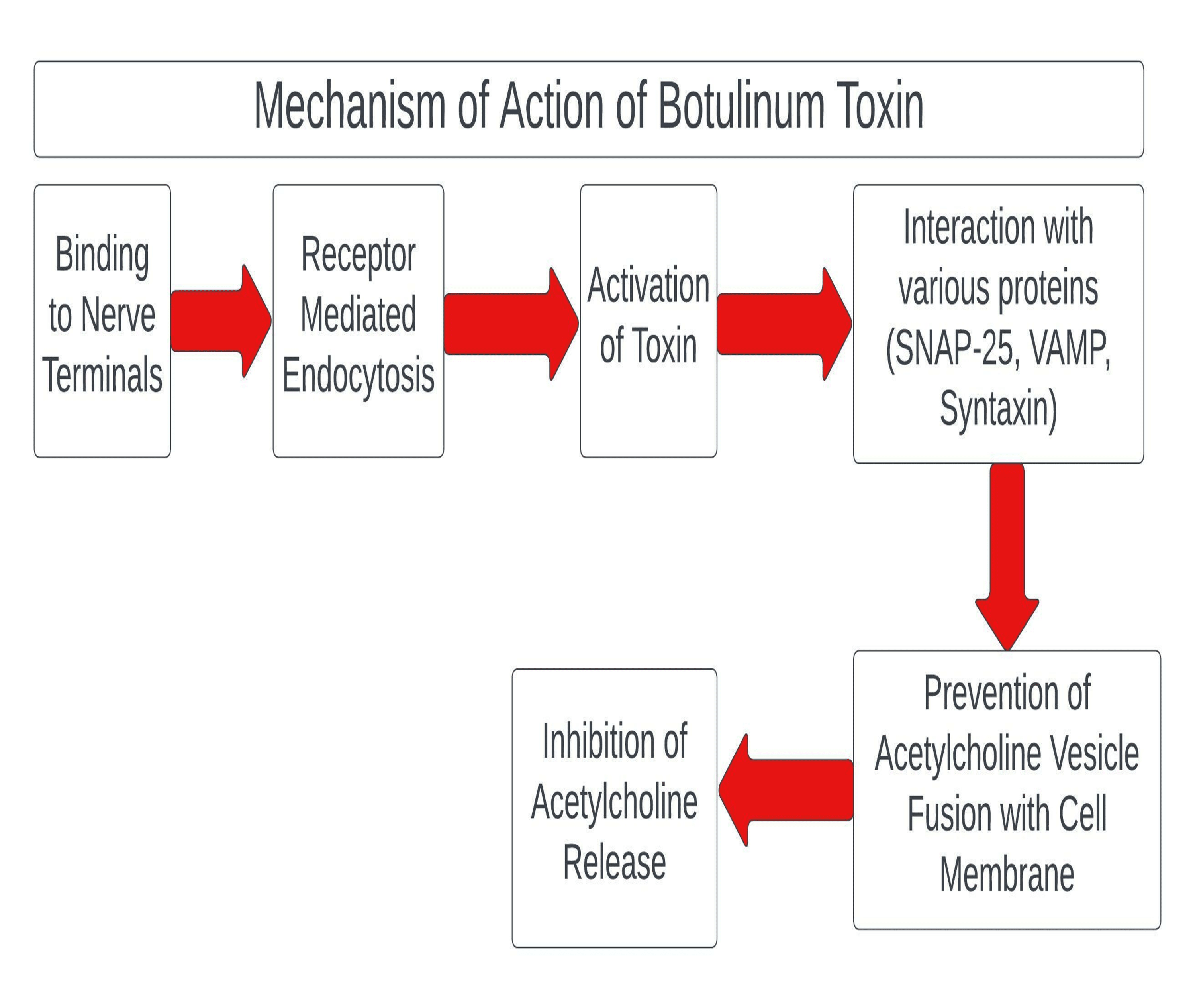 Cureus | Therapeutic Efficacy Of Botulinum Toxin In Trigeminal Neuralgia