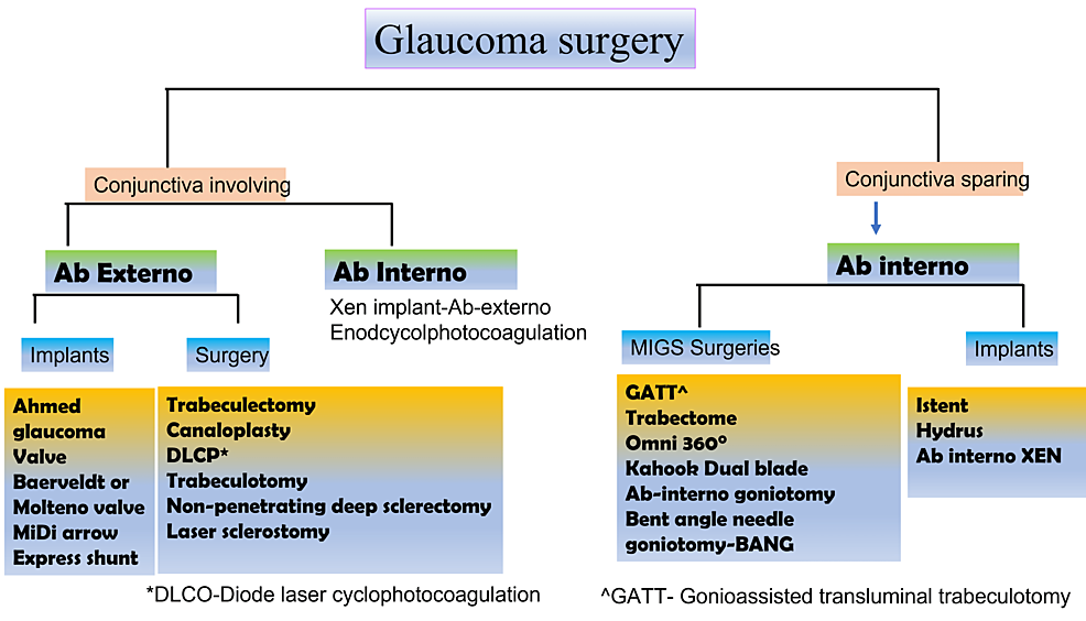 Schematic-diagram-illustrating-different-surgical-options-for-the-treatment-of-glaucoma