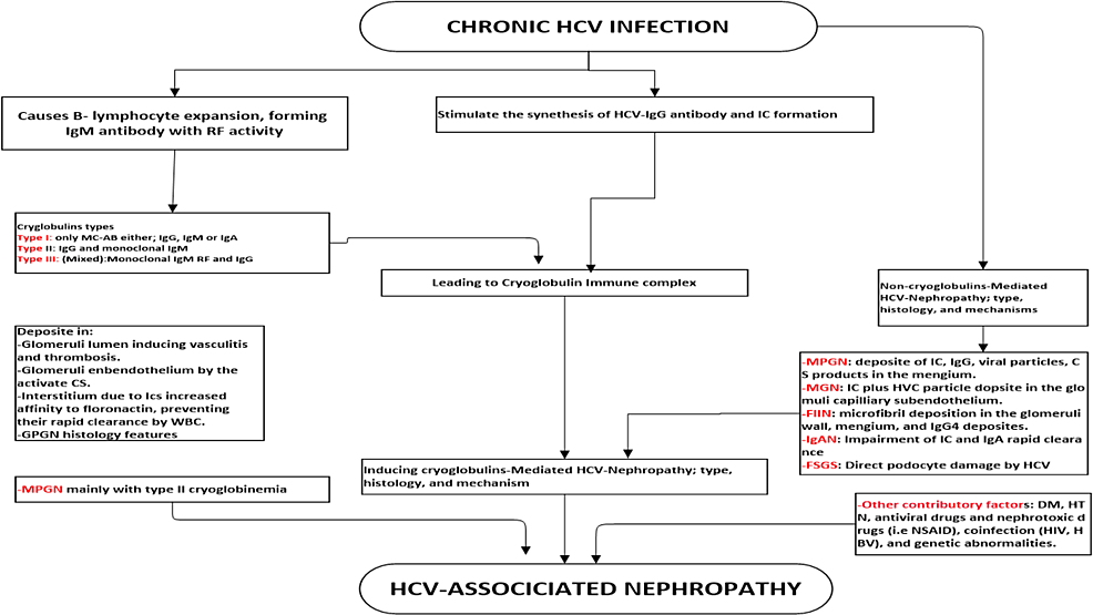 Hepatitis Virus C-associated Nephropathy: A Review and