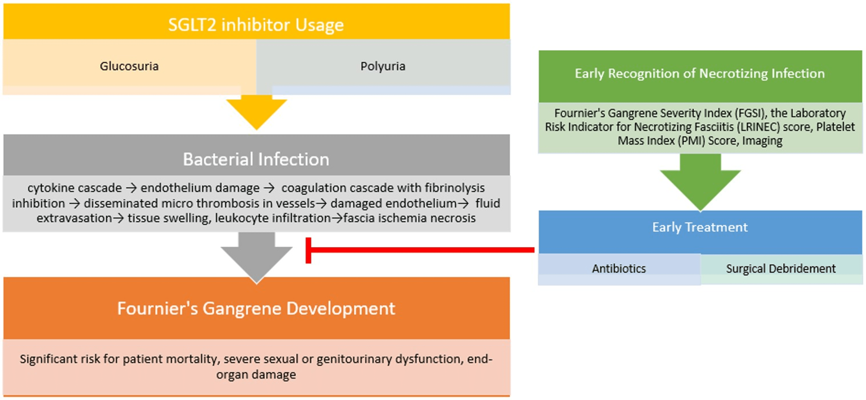 Cureus | Fournier’s Gangrene: A Coexistence or Consanguinity of SGLT-2 ...