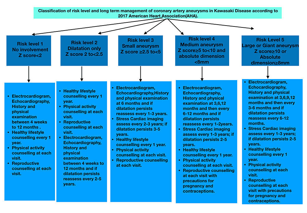 Cureus | Kawasaki Disease And Coronary Artery Involvement: A Narrative ...