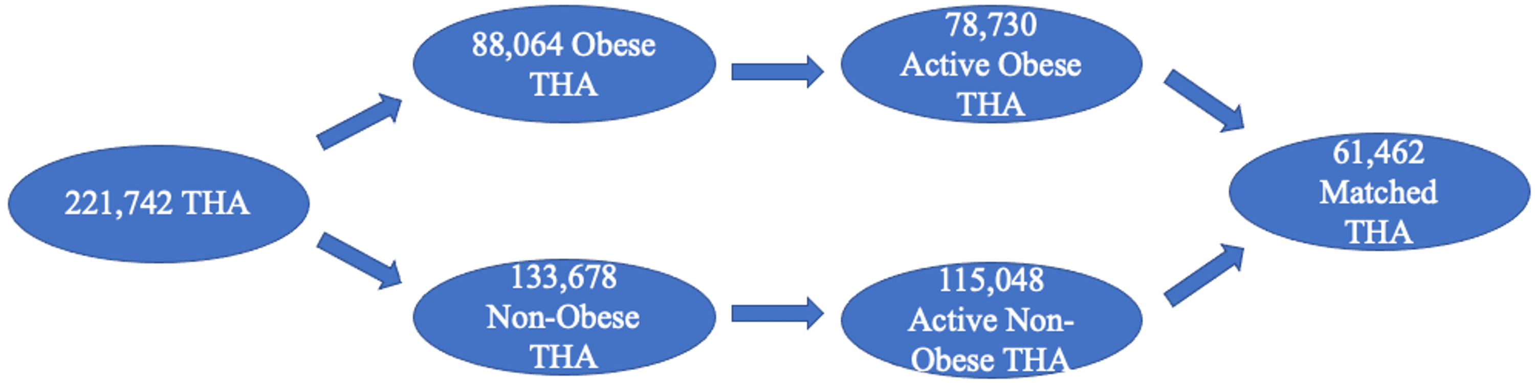 the-impact-of-obesity-on-total-hip-arthroplasty-outcomes-a