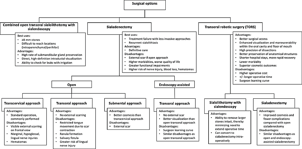 Surgical-treatment-algorithm-for-the-management-of-submandibular-sialolithiasis