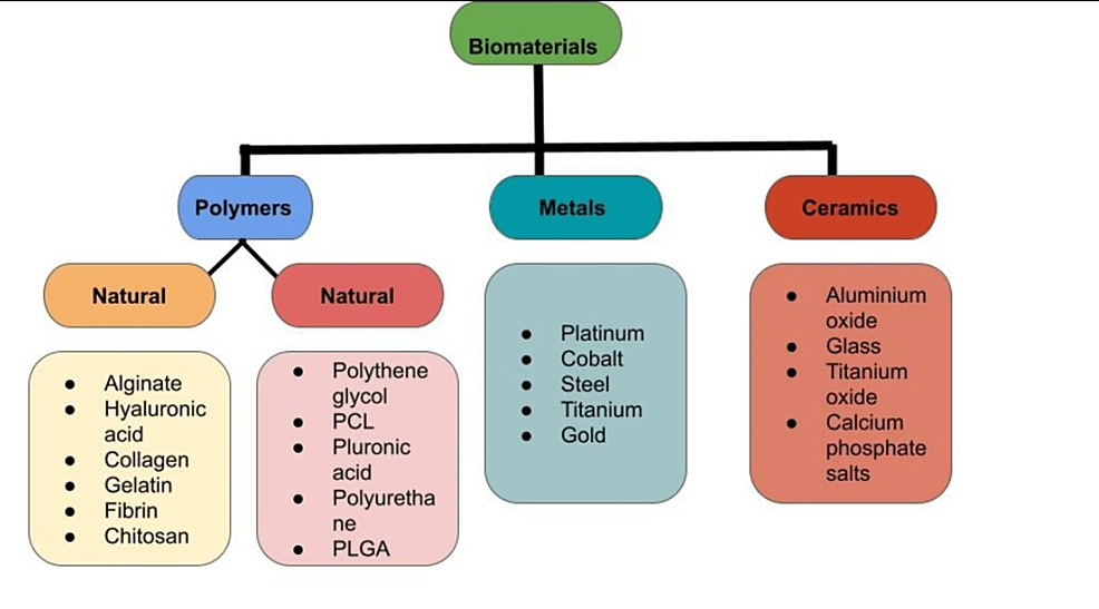 Cureus | A Review on Techniques and Biomaterials Used in 3D Bioprinting