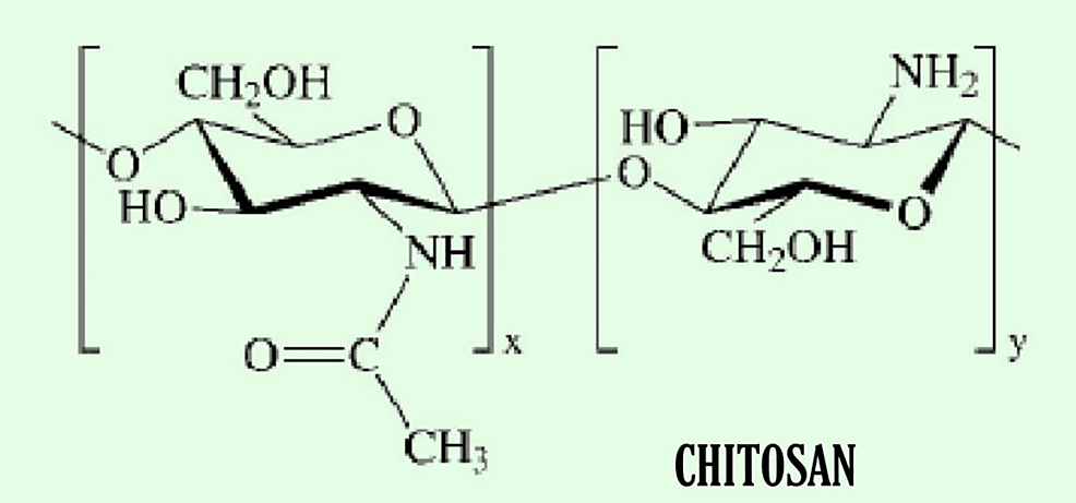 Chemical-Structure-of-Chitosan