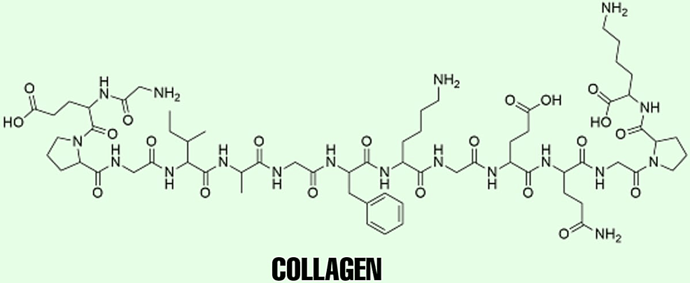 Chemical-Structure-of-Collagen-