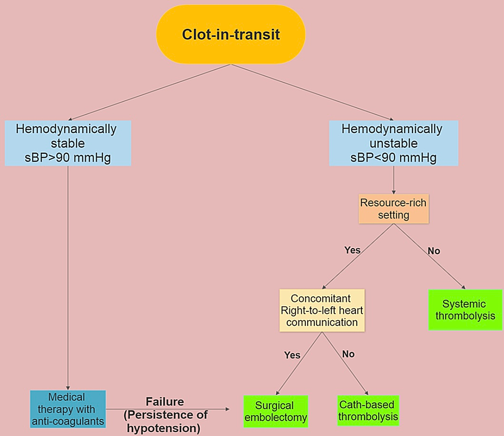 Suggested-algorithm-for-the-treatment-of-clot-in-transit