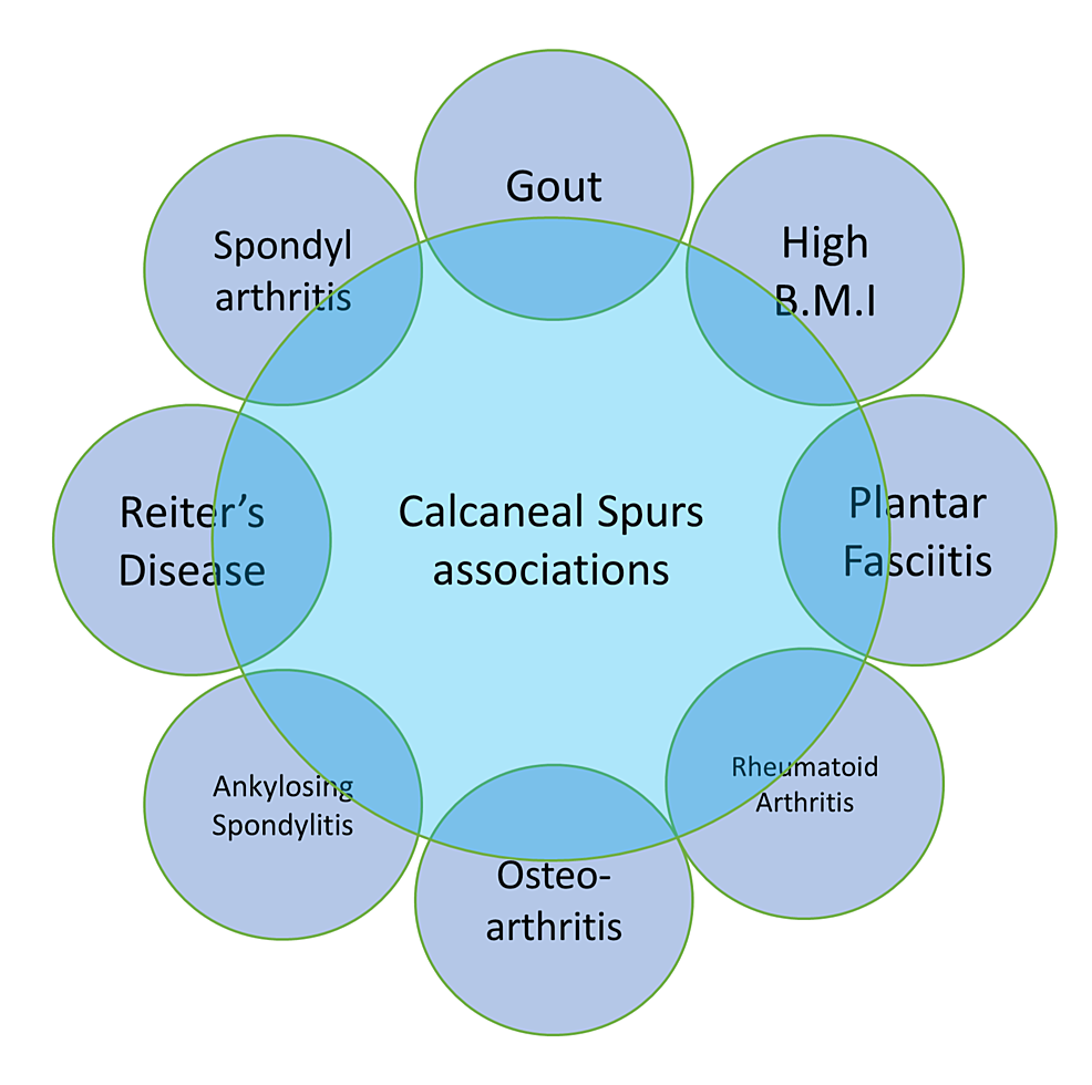 Associations-of-calcaneal-spurs