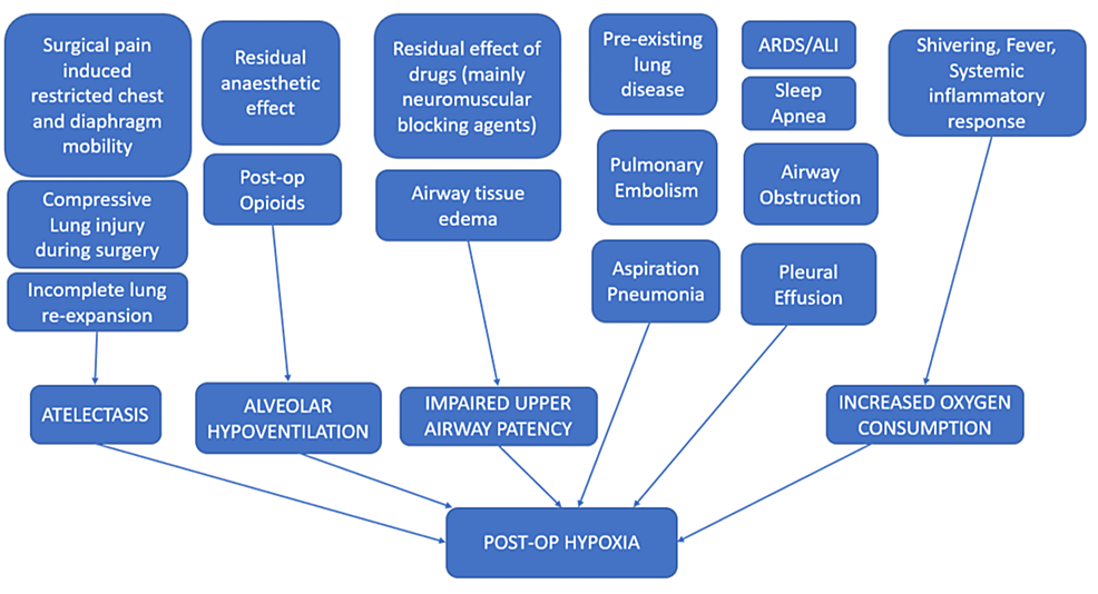 Possible-mechanisms-for-postoperative-hypoxia-