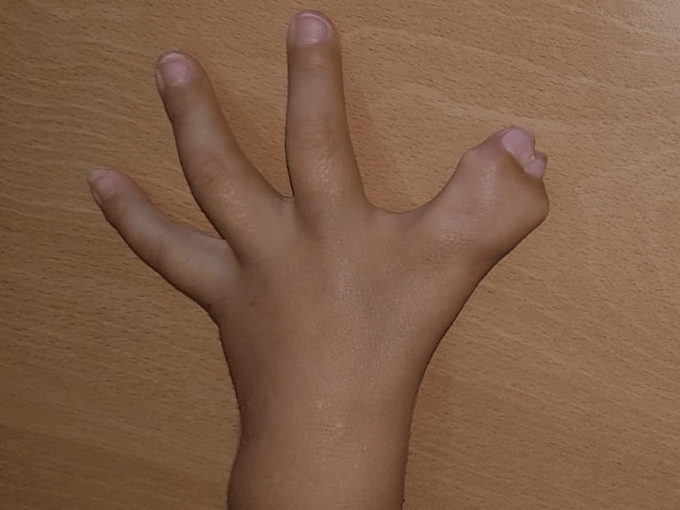 Realistic Silicone Female Right Hand -  Canada