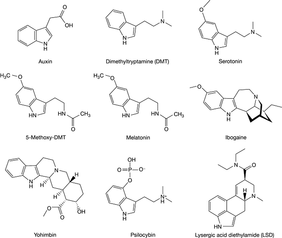 Cureus Potential Therapeutic Effects of Psilocybin A Systematic