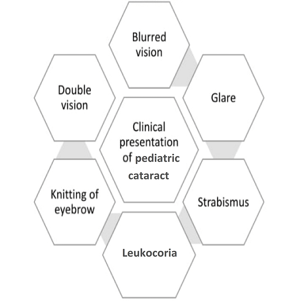 5 Common Household Items that Can Lead to Blindness - North Florida  Cataract and Vision