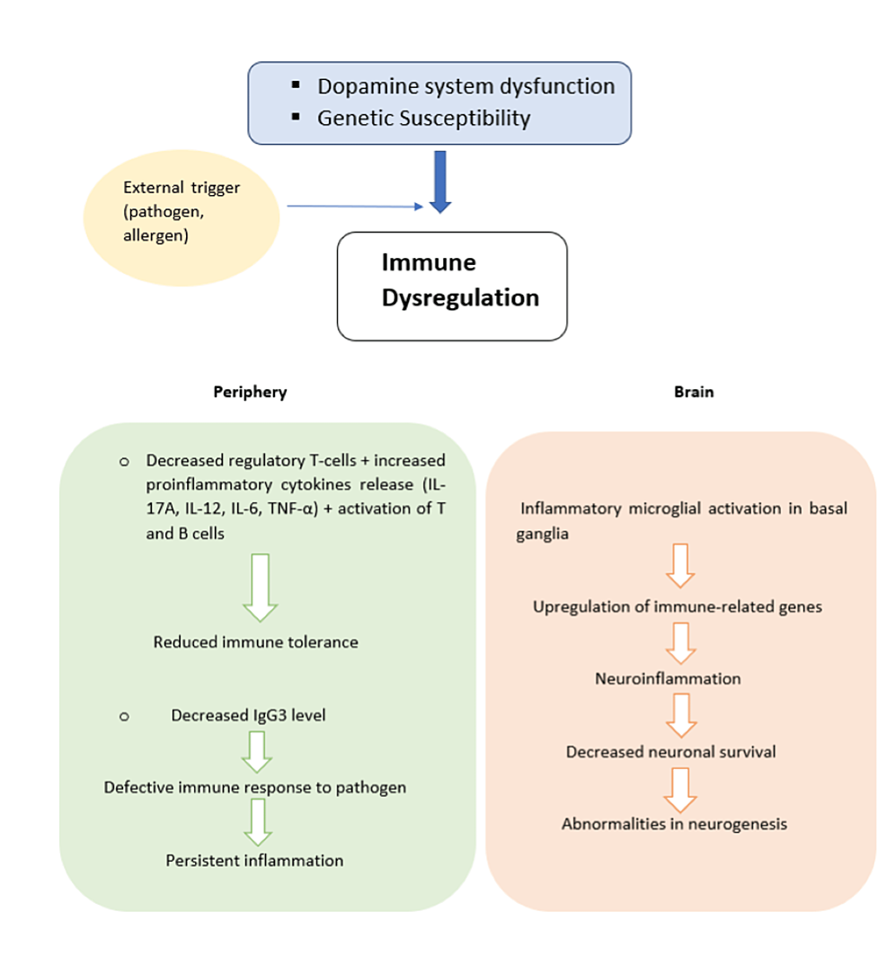 Immunological-dysregulation-in-TS