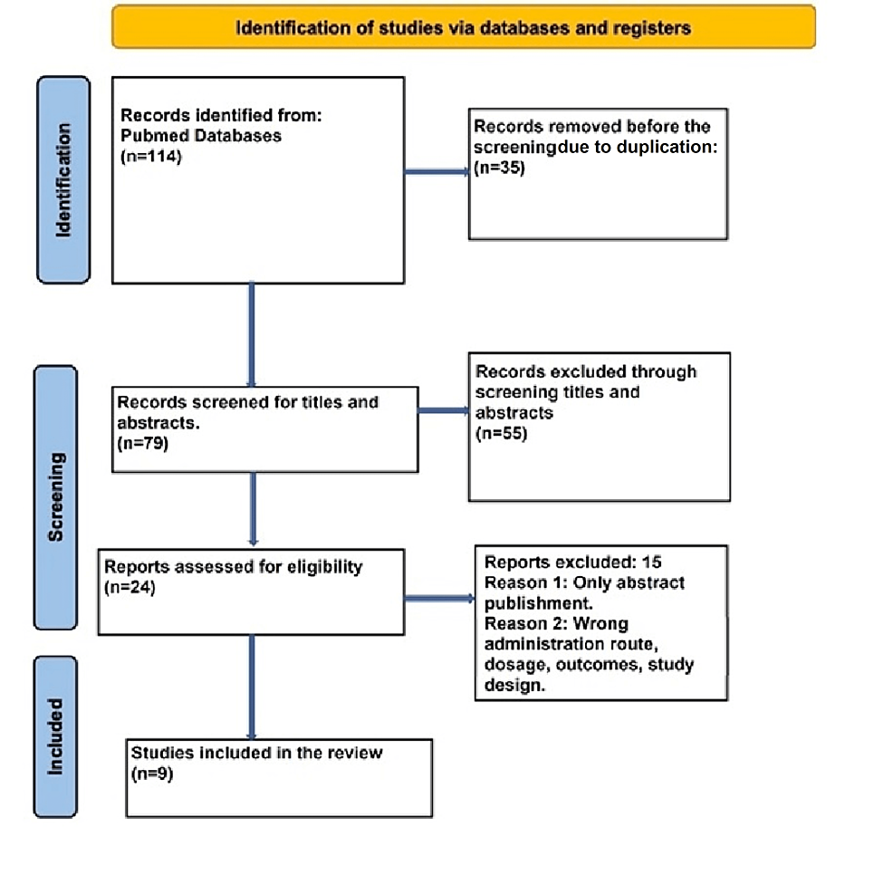 Transcranial Magnetic Stimulation As A Therapeutic Option For