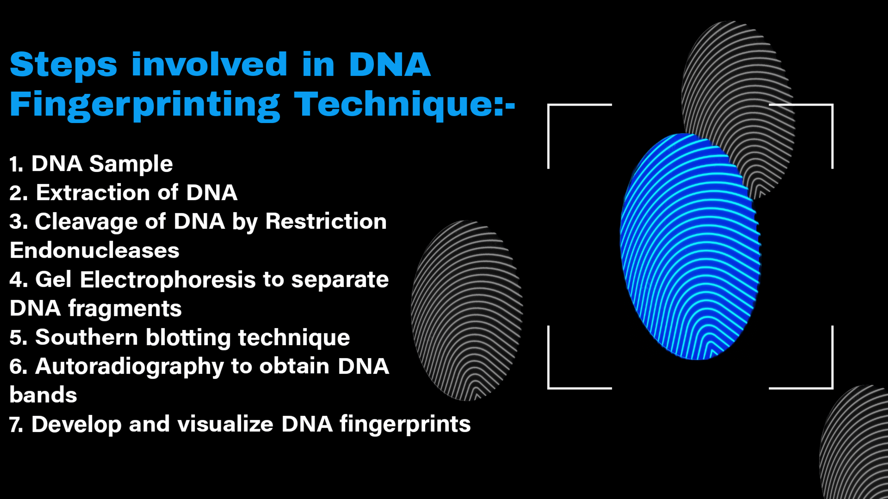 Steps Of Dna Fingerprinting Dna Fingerprinting | My XXX Hot Girl