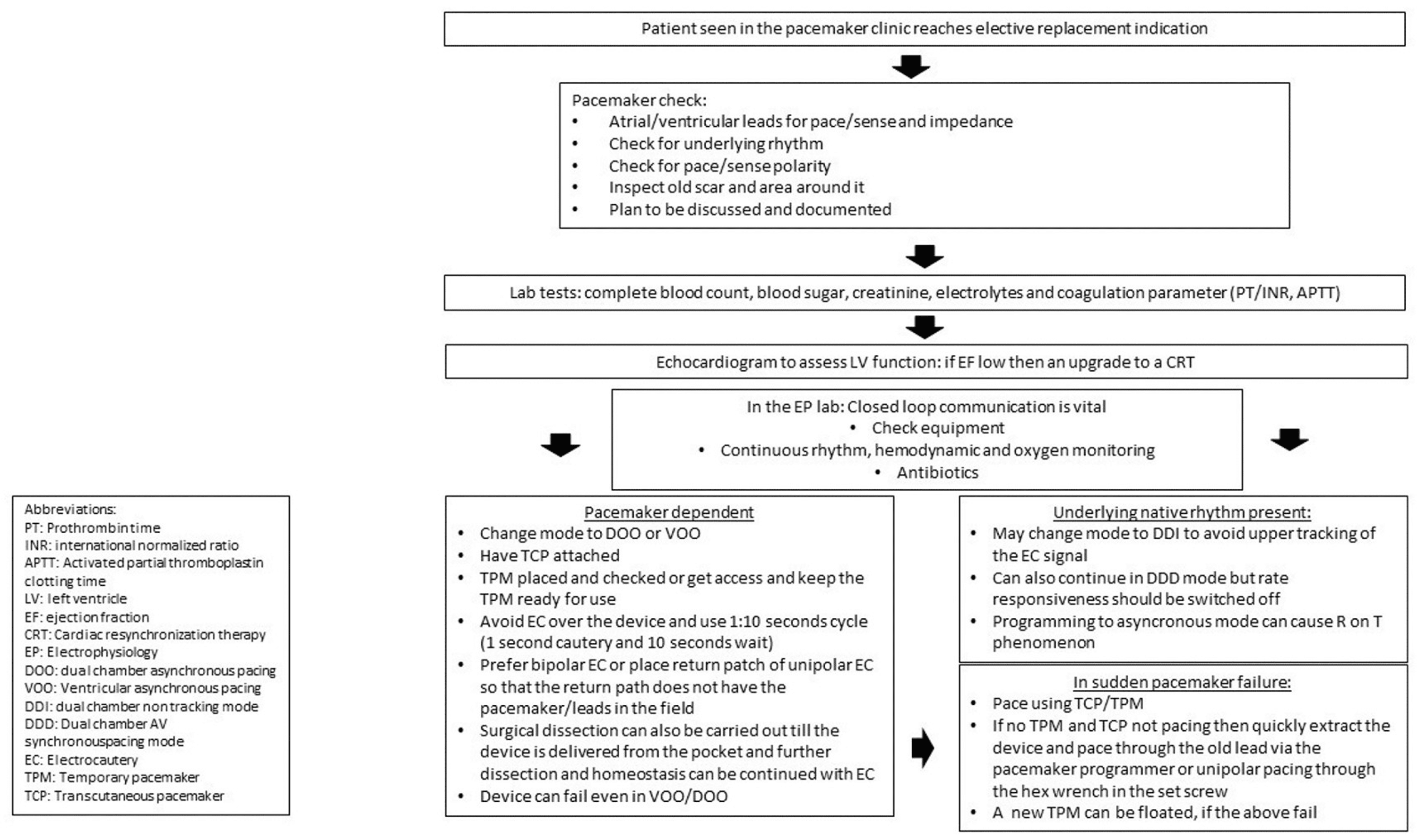 Cureus Pacemaker Failure to Capture Caused by Electrocautery A Rare