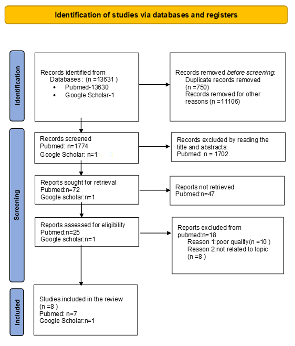 Obesity and Coronary Artery Disease: An Updated Systematic Review 2022