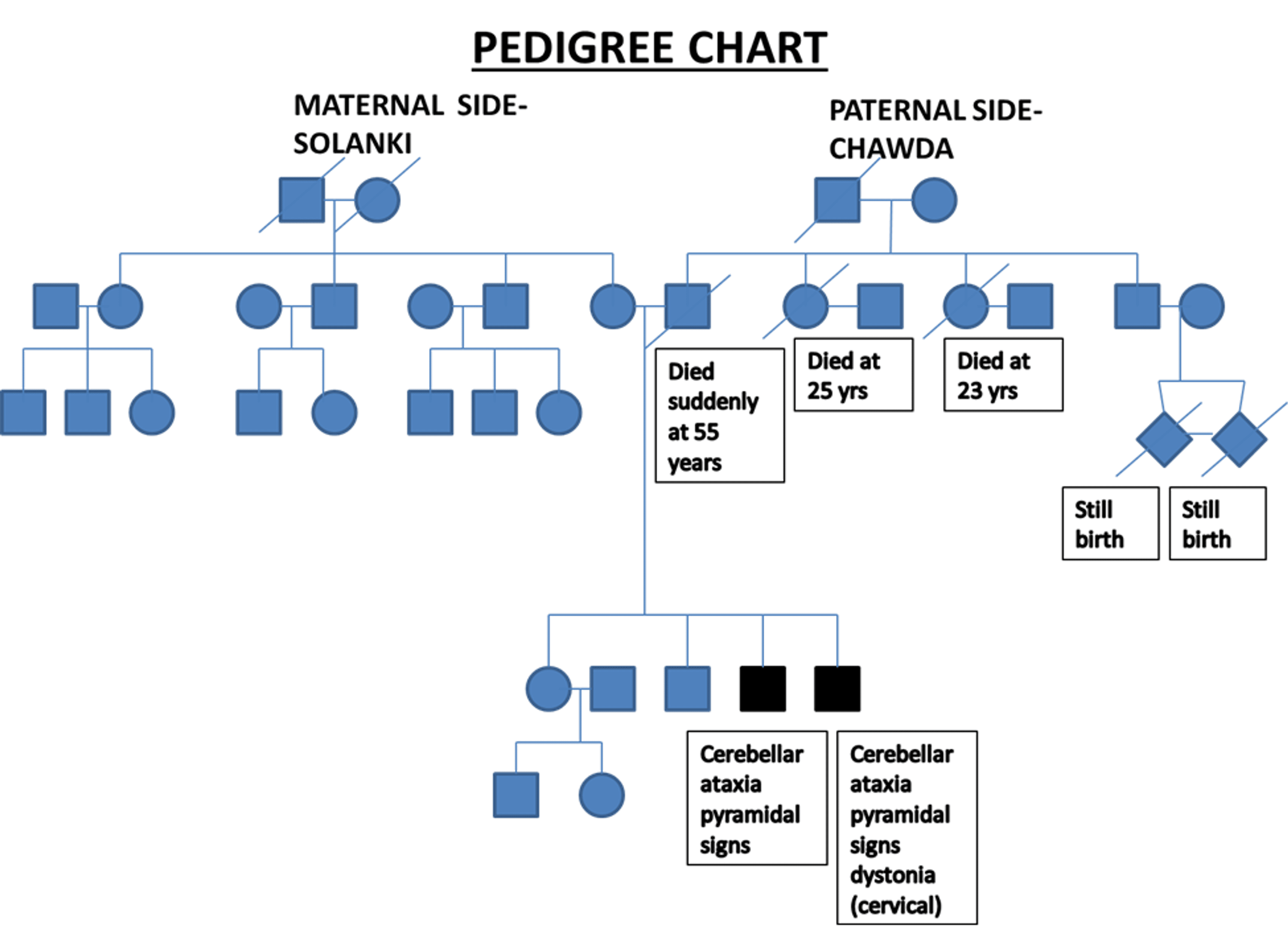 Cureus | A Rare Phenotype of Inherited Cerebellar Ataxia