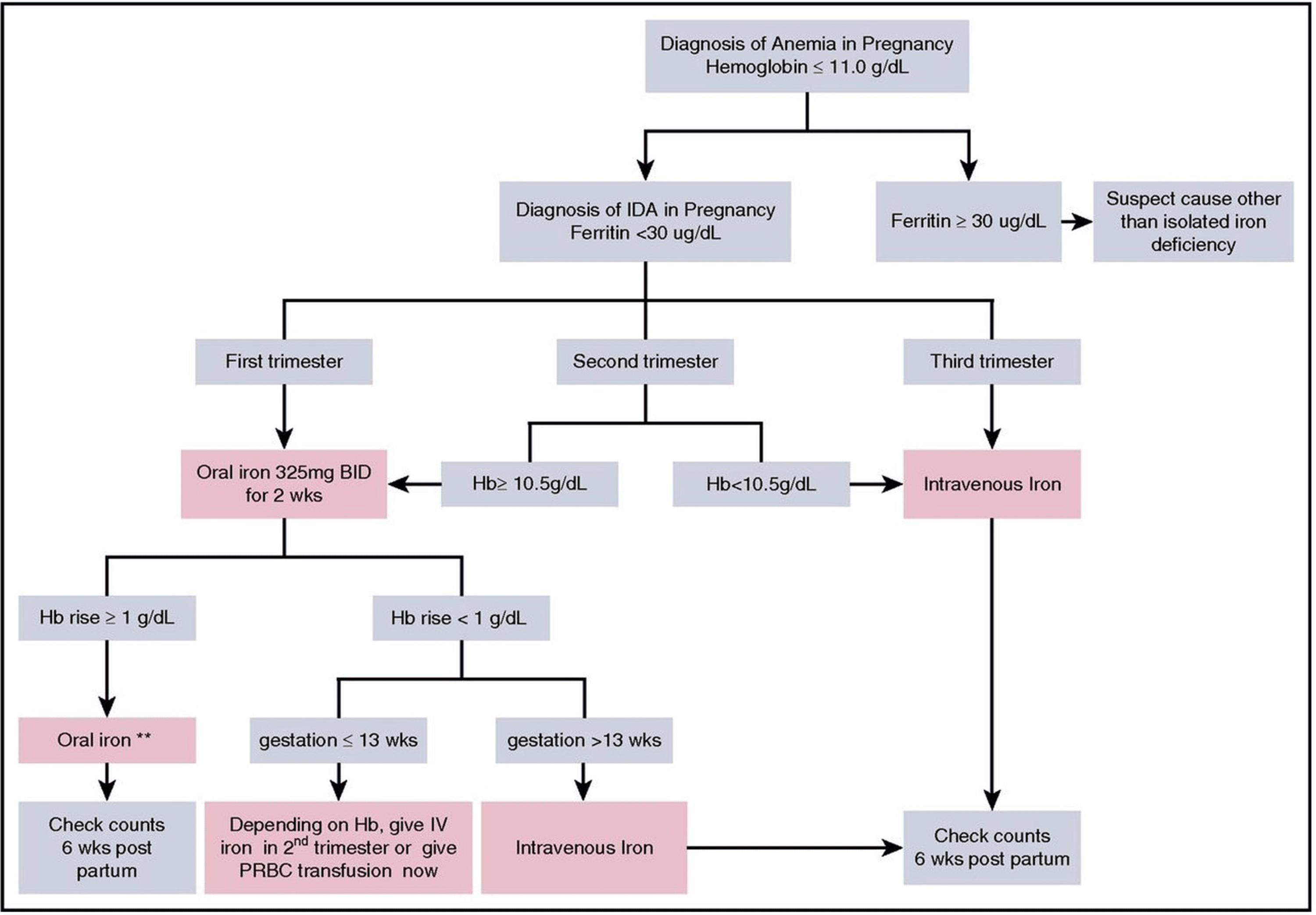 Cureus Iron Deficiency Anemia in Pregnancy