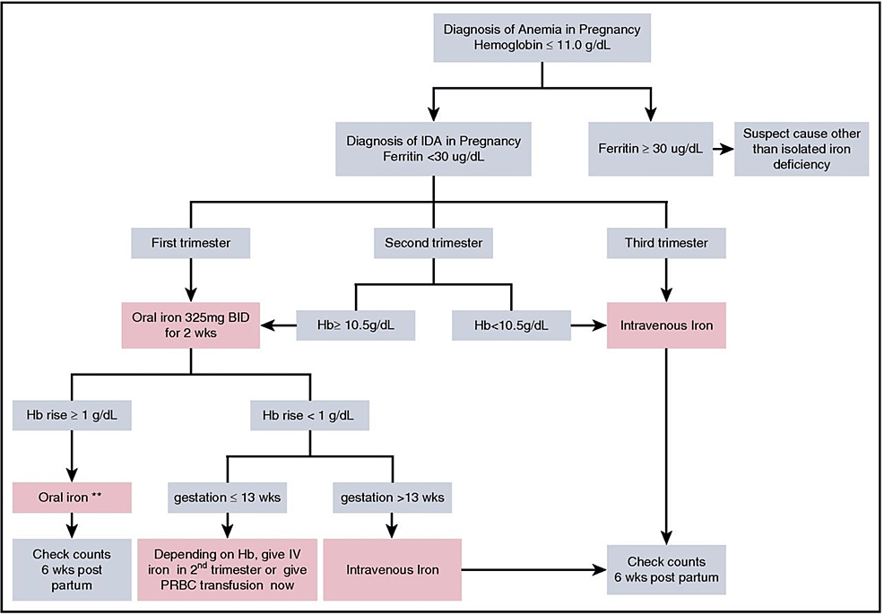Iron Deficiency Anemia In Pregnancy Cureus