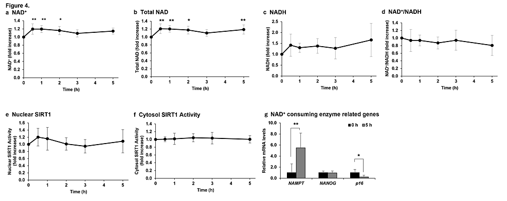-Effect-of-NMN-administration-on-increased-NAD+-level-and-SIRT1-activation.-