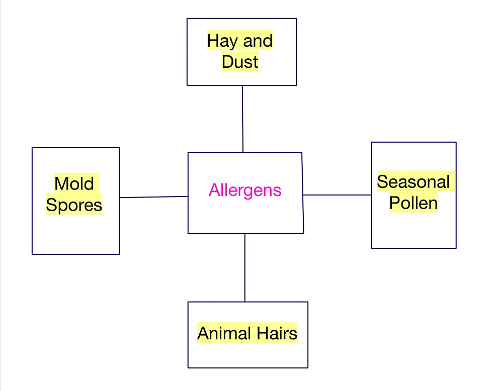 Different-types-of-allergens-causing-allergic-rhinitis