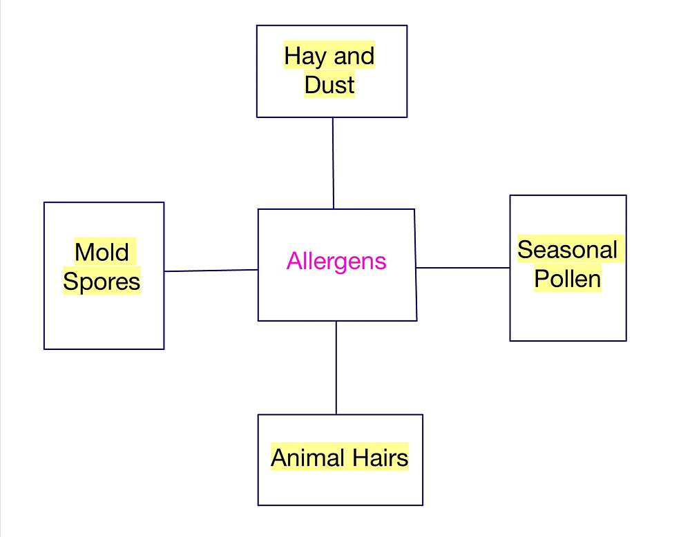 Quality of life in patients with persistent allergic rhinitis