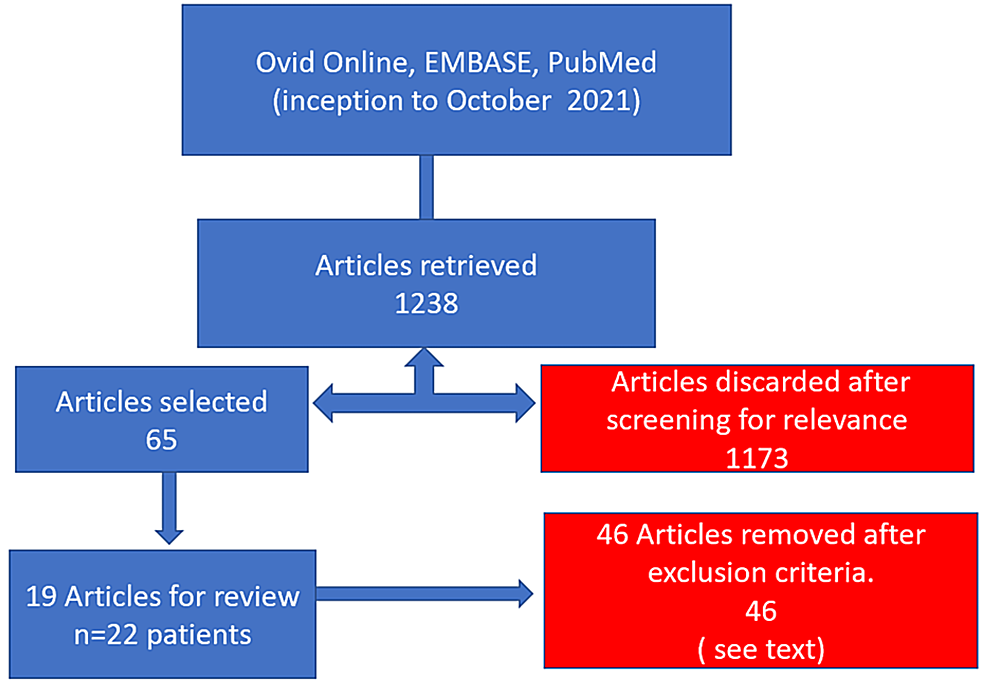 Cureus BucketHandle Mesenteric Tears A Comprehensive Review of
