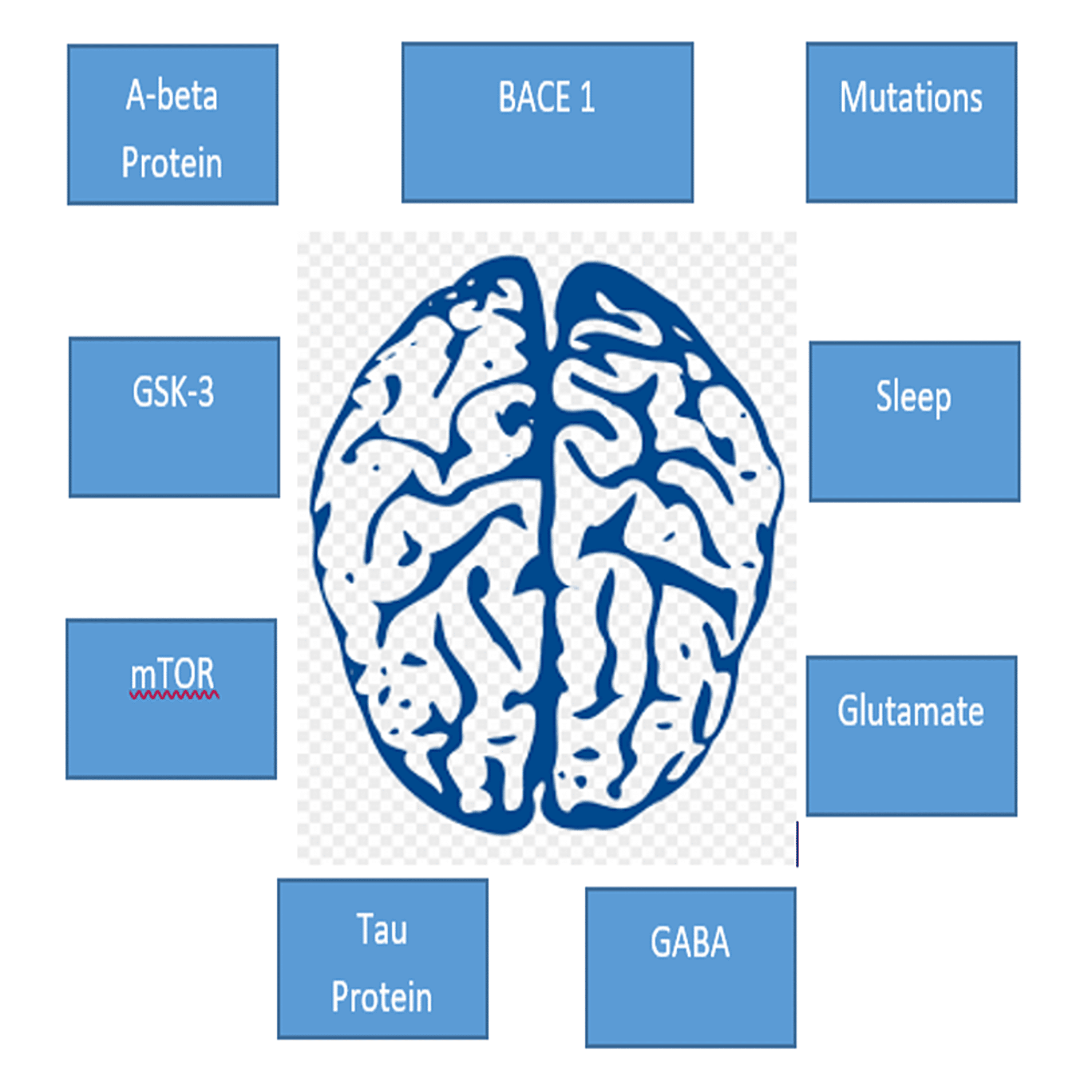 Cureus | The Association Between Alzheimer's Disease And Epilepsy: A ...