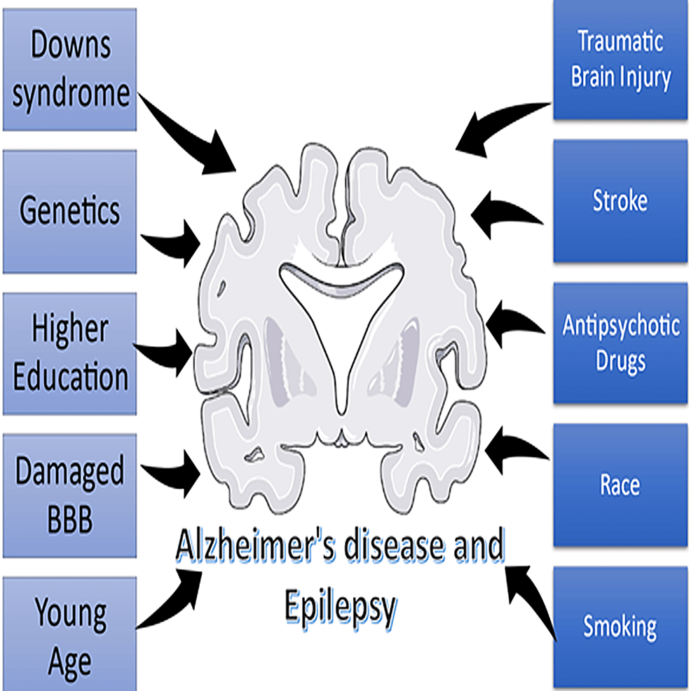 Epilepsy Risk Factors