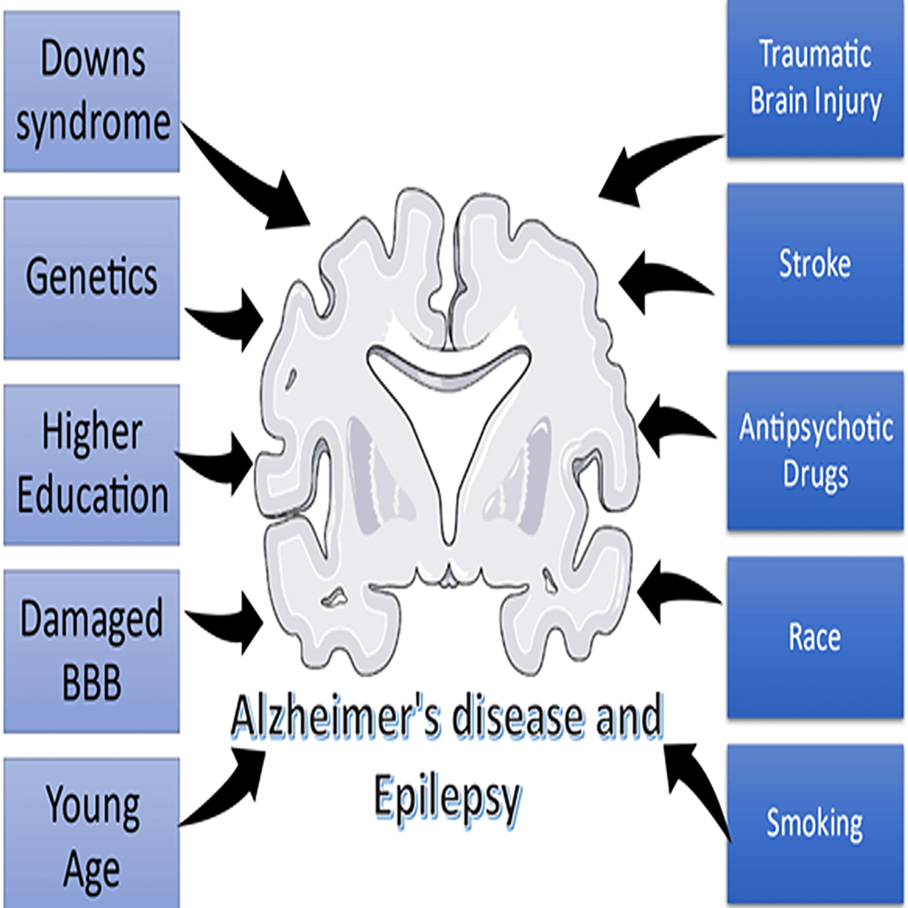 Cureus | The Association Between Alzheimer's Disease And Epilepsy: A ...