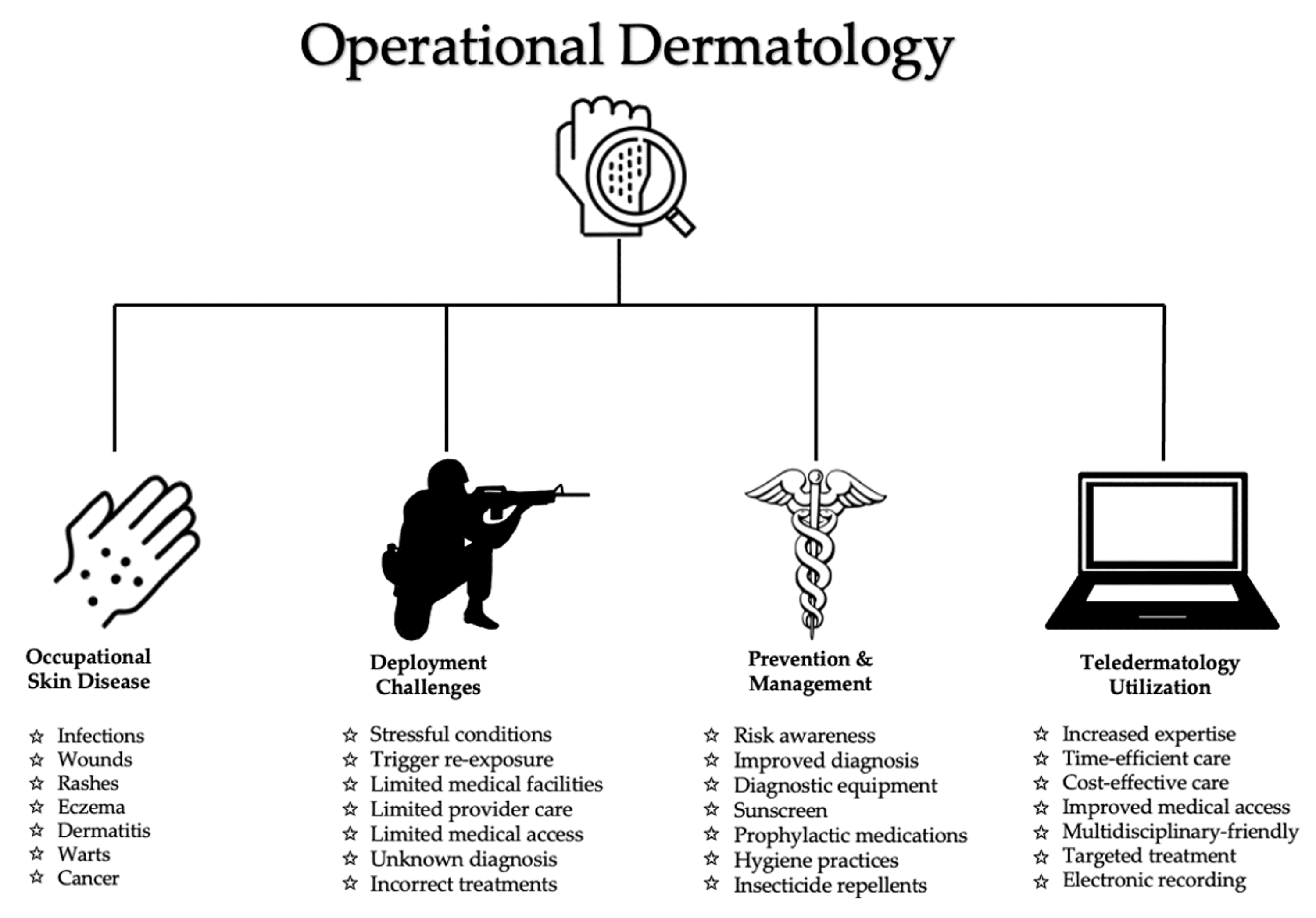 Figure 1: Overview of operational dermatology