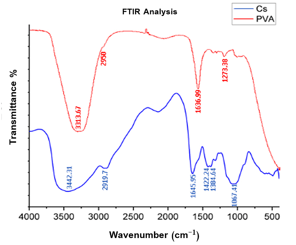 FTIR-analysis-of-pure-chitosan-(in-blue)-and-polyvinyl-alcohol-(in-red).