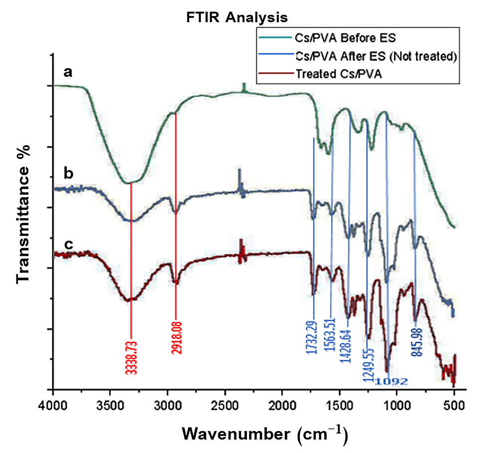 The-FTIR-analysis-of-the-chitosan/polyvinyl-alcohol-blend.
