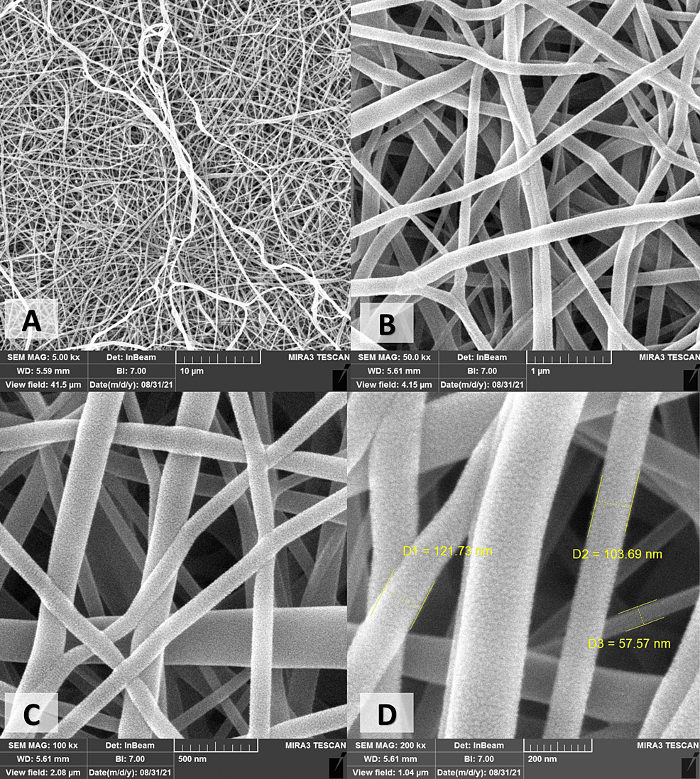 Field-emission-scanning-electron-microscope-micrographs-of-electrospun-Cs/PVA-obtained-in-different-magnifications:-