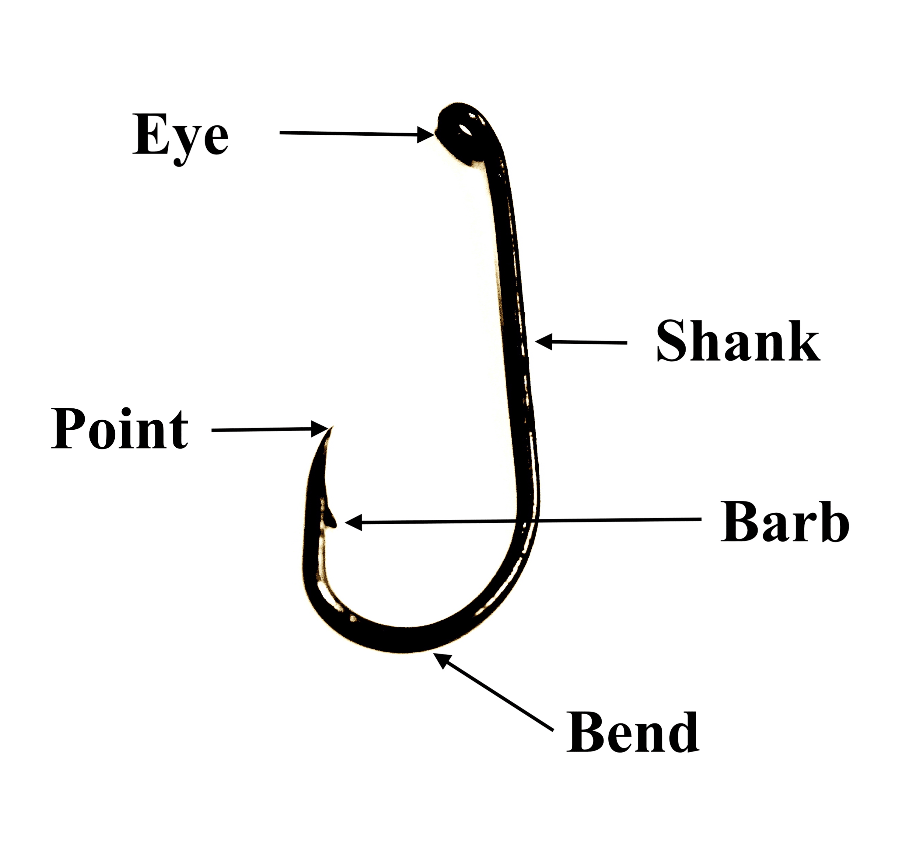 Cureus | CUT BARB (an Acronym for Fishhook Injuries): Illustrated by ...