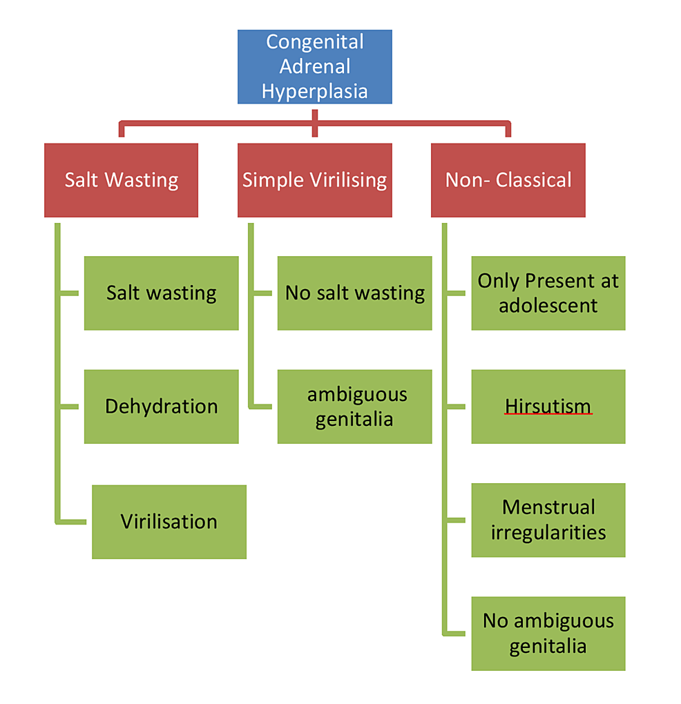 Challenges in the Diagnosis of Simple-Virilizing Congenital Adrenal