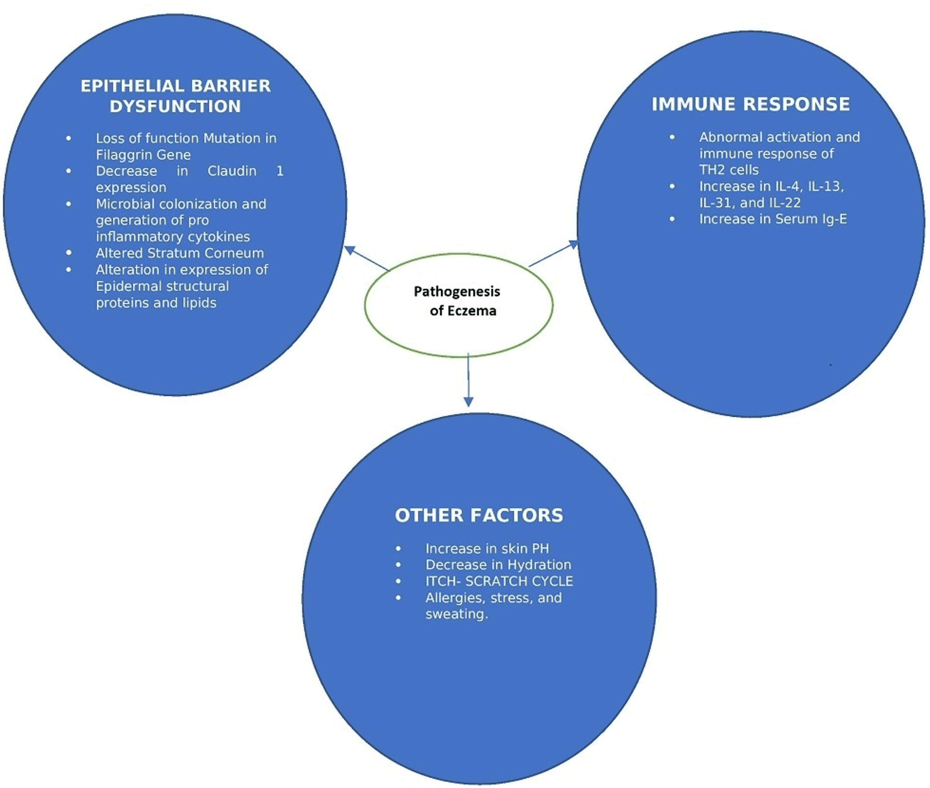 A Molecular Basis Approach of Eczema and Its Link to Depression and Related Neuropsychiatric